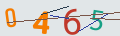 verifycode